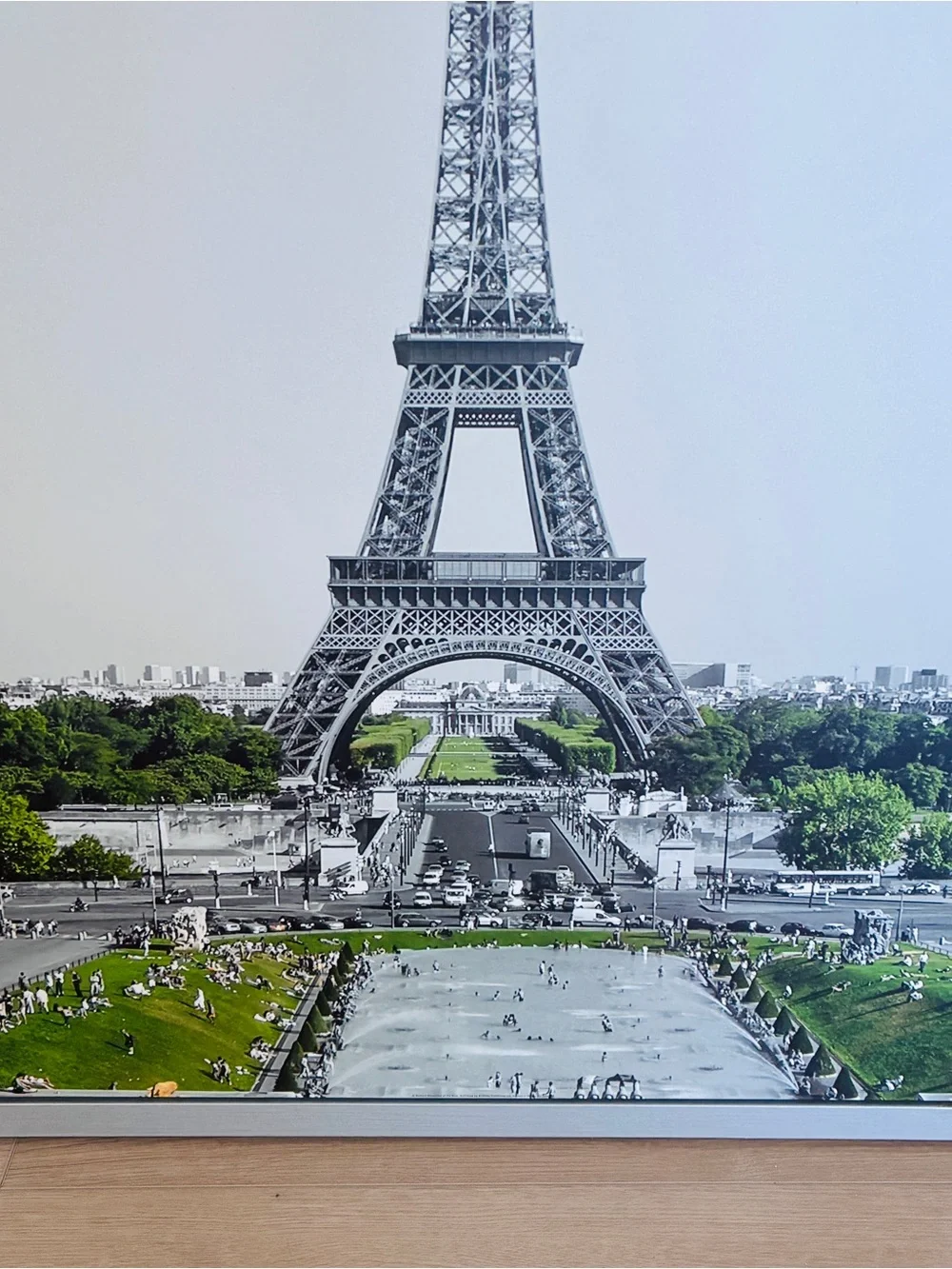 IKEA VILSHULT Picture Eiffel Tower Silver Framed Wood Art